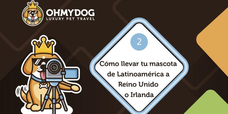 ¿Cómo llevar tu mascota de Latinoamérica a Reino Unido o Irlanda?
