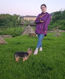 Pet trip