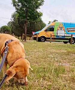 Pet trip