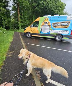 Pet trip