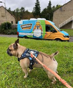 Pet trip