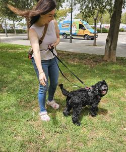 Pet trip