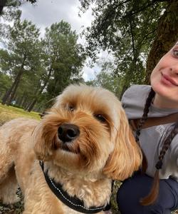 Pet trip