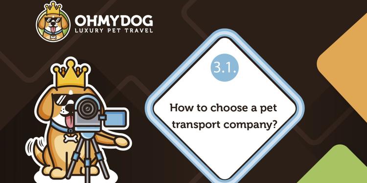 How to choose a pet transportation company?