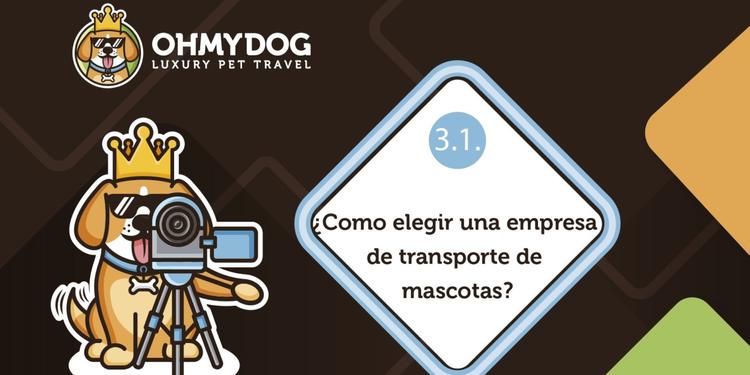 ¿Cómo elegir una empresa de transporte de mascotas?