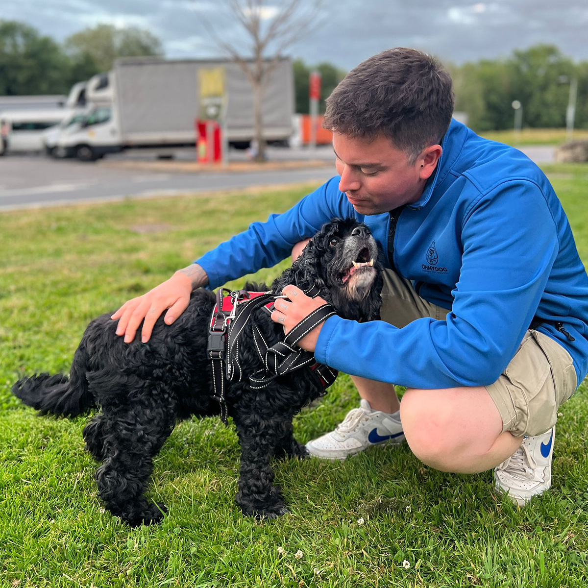 Trip with a pet