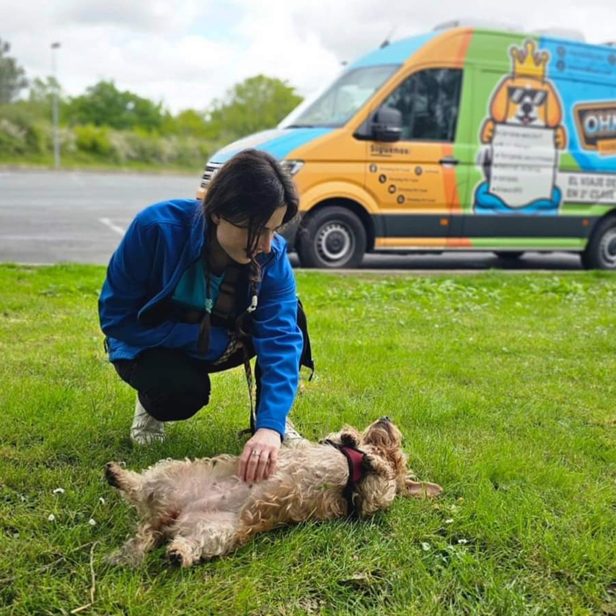 Trip with a pet